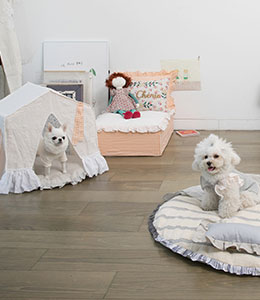 펫팸족이라면 주목!