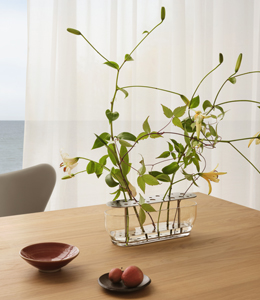 여름의 순간을 담은 집