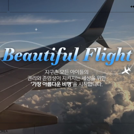 가장 아름다운 비행